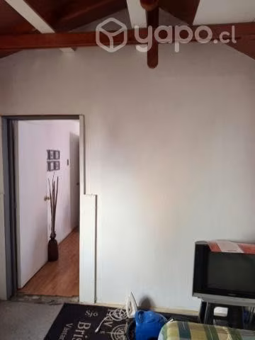 Solo a señorita estudiante o profesional