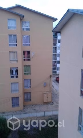 Arriendo Pieza Para Estudiantes Viña del Mar