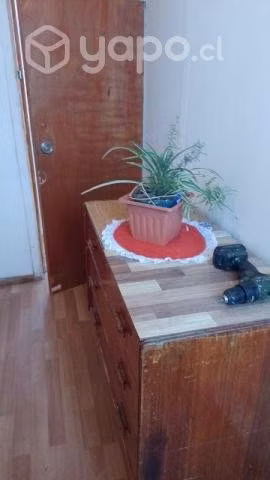 Arriendo mini departamento