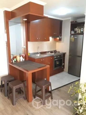 PIEZA hombre stgo centro