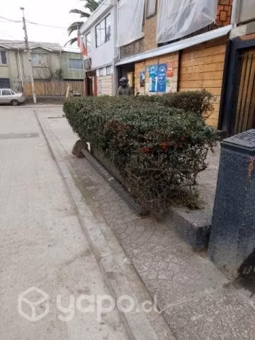 Alquiler pieza